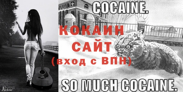 стафф Арсеньев
