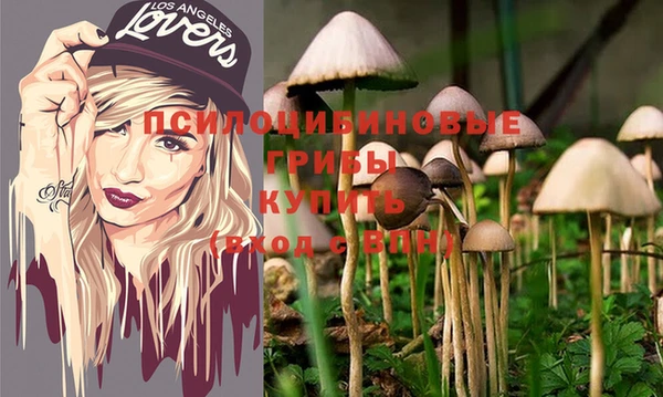 спиды Семёнов