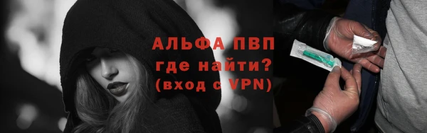 стафф Арсеньев