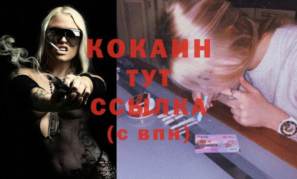 стафф Арсеньев