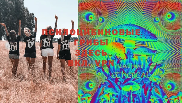 стафф Арсеньев