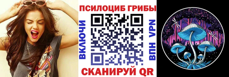маркетплейс телеграм ОМГ ОМГ ONION Углегорск дарнет шоп Галлюциногенные грибы Psilocybine cubensis